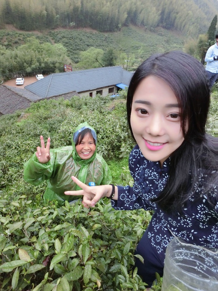网络销售行业鼻祖卖茶女话术剧本及人设素材全套曝光，适合运用到任何网络销售行业。